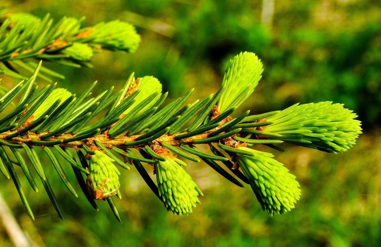 Former state senator and family receive $100 million for son’s wrongful death