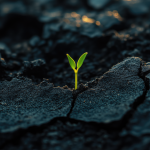 How Life News Stories Are Shaping Global Perspectives And Behaviors