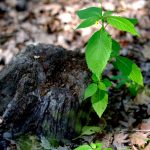 Life Lessons From The Latest Headlines A Deep Dive Into Recent Life News