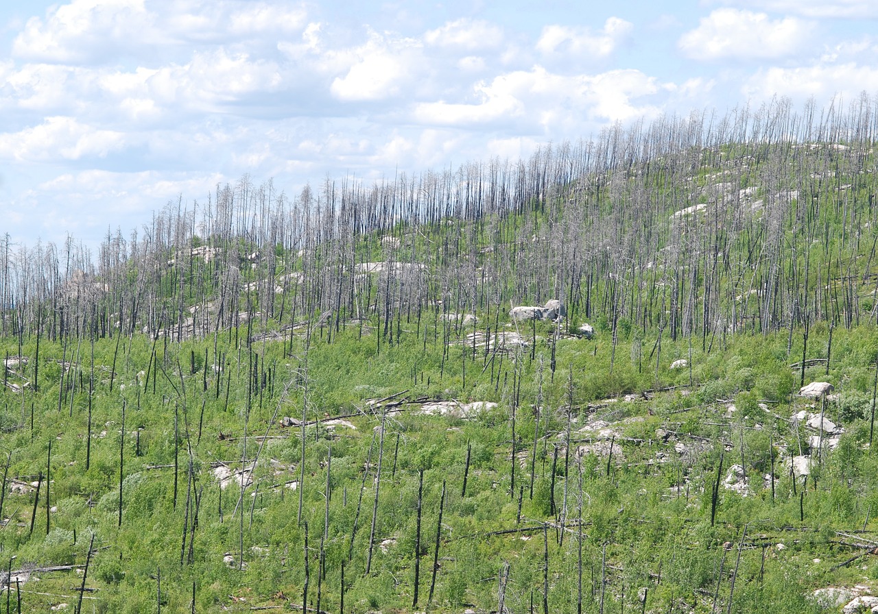 For example, the story of volunteers aiding disaster-stricken areas showcases