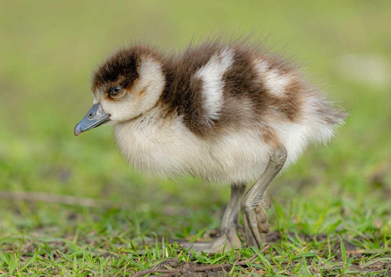 Incorporating life lessons from recent headlines into our daily lives