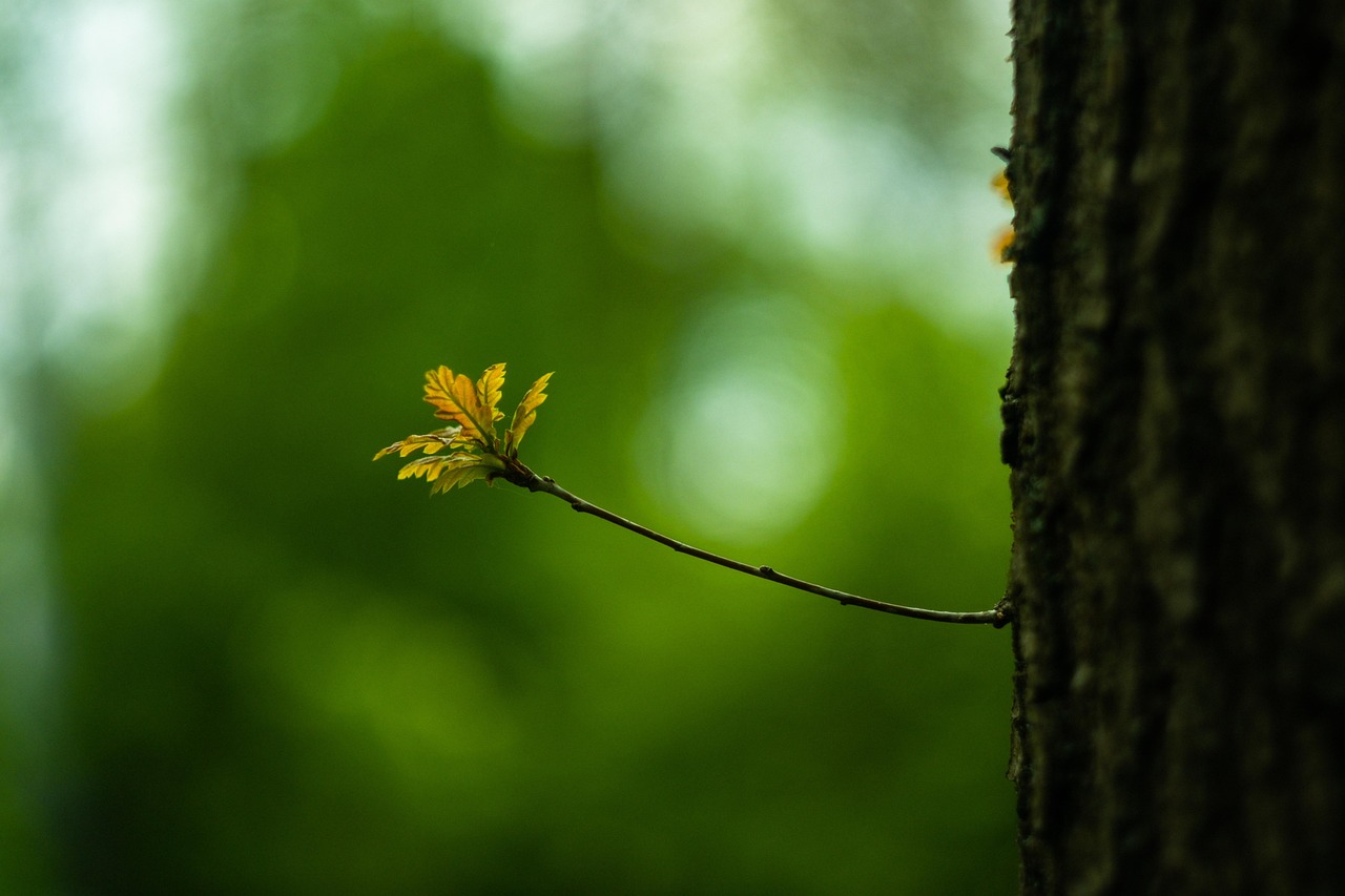 In navigating this landscape, individuals must take proactive steps to