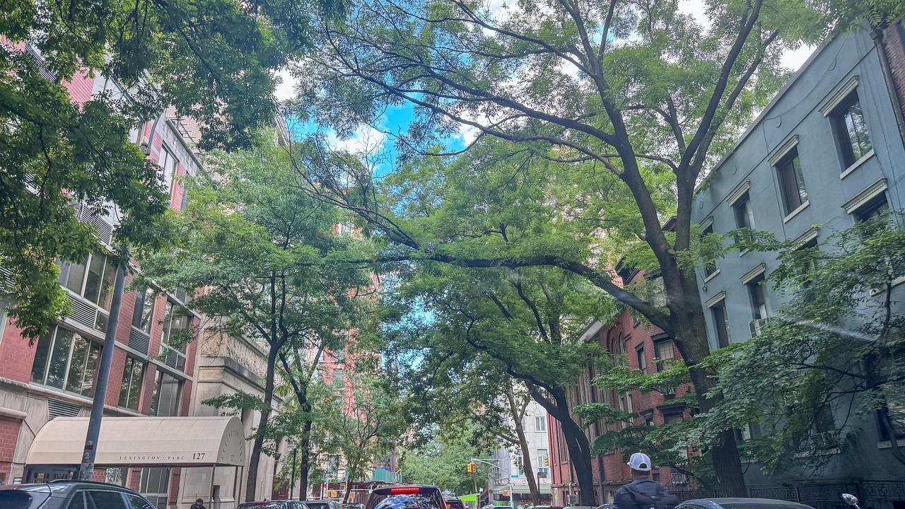 The Role of Government and Policy in Eco-Tourism