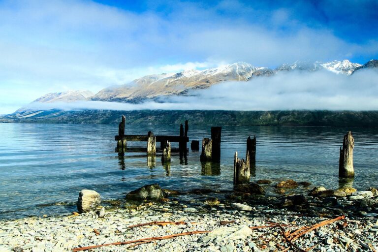 Exploring Eco Tourism The Latest Trends Impacting The Travel Industry