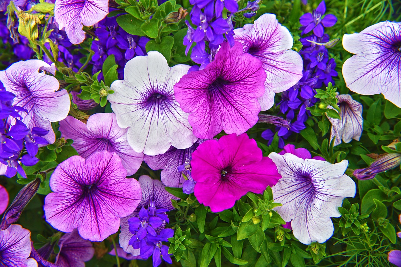 Artificial intelligence (AI) and automation are set to play a