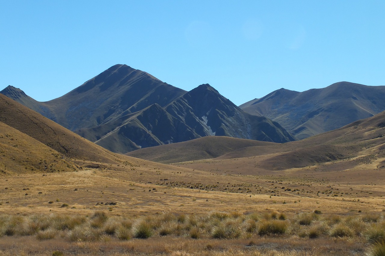 Economic sanctions are a tool used by countries to exert