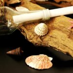 The Rise Of Solo Travel Exploring The New Trend In Post Pandemic World