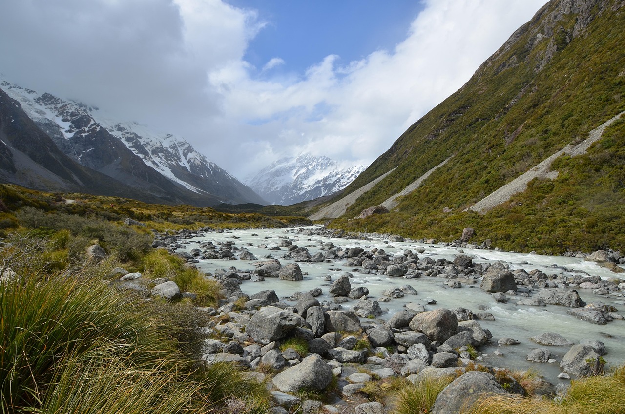 Many travelers are also choosing to offset their carbon emissions